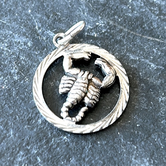Vintage EuropeanSilver Scorpio Pendant/Charm - Picture 1 of 6